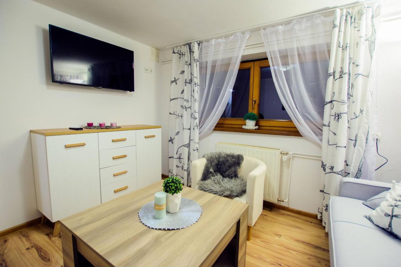 Apartament Tajemniczy Ogrod Scisle Centrum Ζακοπάνε Εξωτερικό φωτογραφία